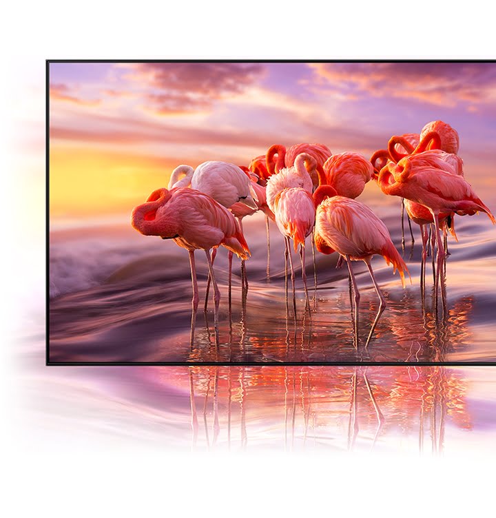 Kategoria telewizorów Neo QLED z technologią Quantum Dot wypełnia obraz miliardem kolorów niezależnie od jasności.