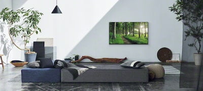 Zdjęcie domowego salonu ilustrujące koncepcję Living Decor