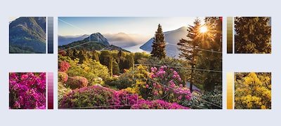 Zdjęcia górskich kwiatów o niezwykłej szczegółowości zapewnionej przez technologię XR HDR Remaster